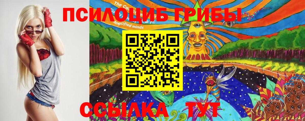Псилоцибиновые грибы мицелий Междуреченск