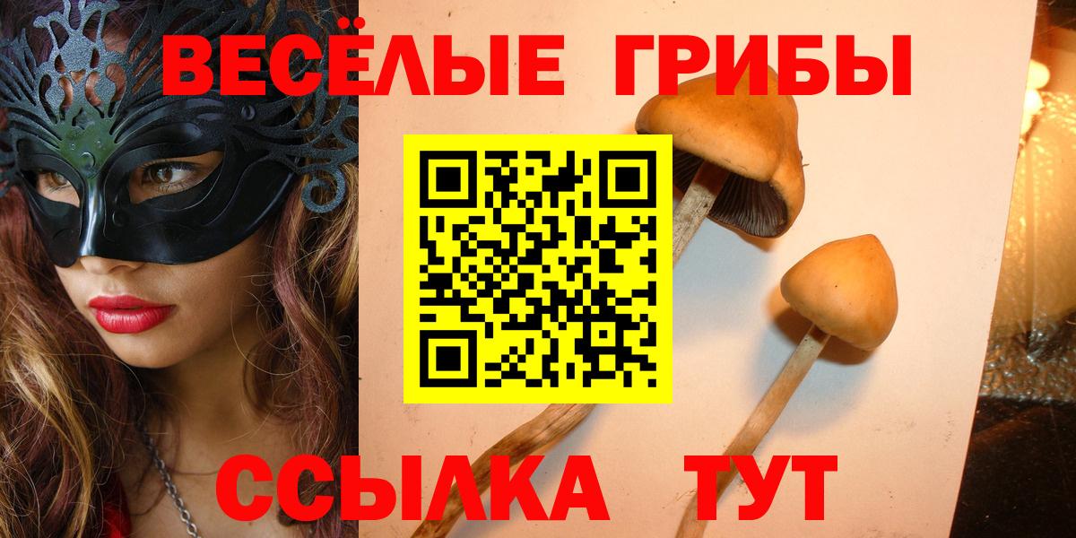Междуреченск  Галлюциногенные грибы прущие грибы  Вход с VPN 